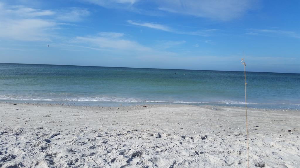 Madeira Bonita Apartment #6 St. Pete Beach Pokój zdjęcie